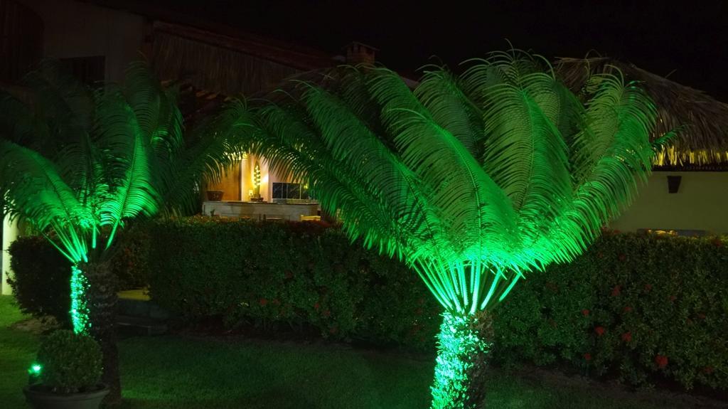 Casa Jangada Daire Cumbuco Dış mekan fotoğraf